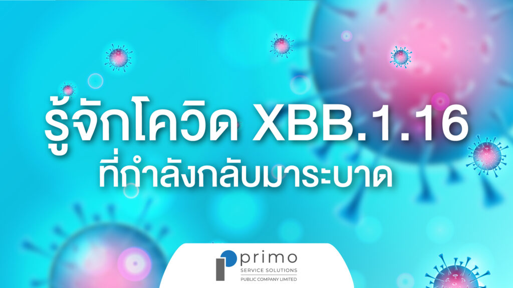 โควิด XBB 1.16